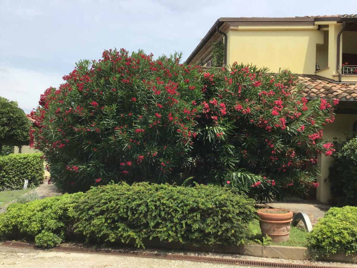Residence Baia Vallugola Castel di Mezzo Zewnętrze zdjęcie